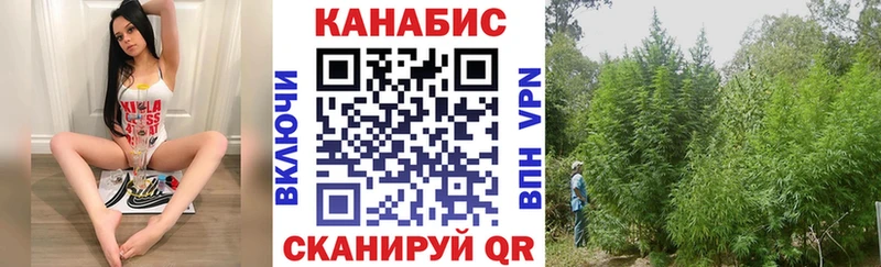 Бошки марихуана SATIVA & INDICA  где продают наркотики  Губкинский 